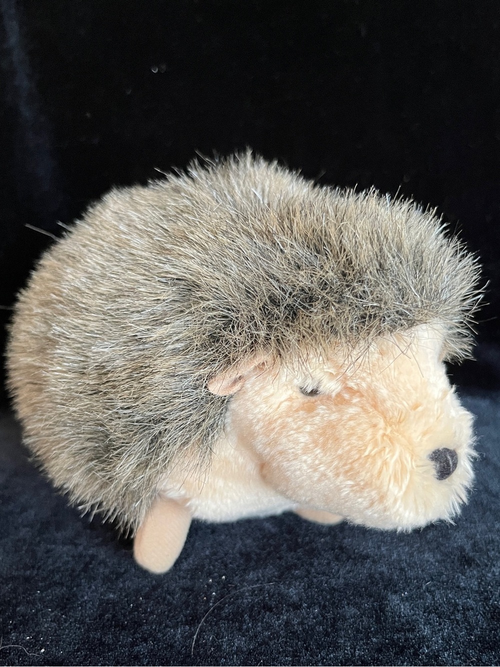 Douglas Bristle Hedgehog Plush Toy